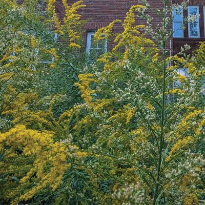 All Hands On: Vanderbilt alumni translate their undergraduate research experiences into postgraduate success