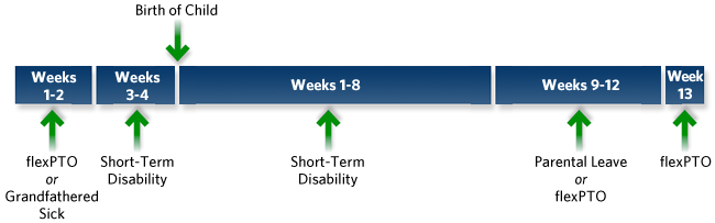 FMLA Timeline Chart