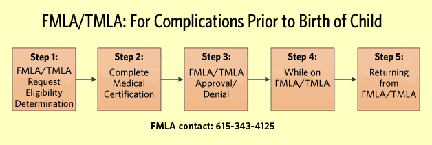 Fmla Flowchart Process