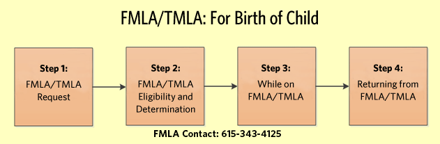 Fmla Process Flow Chart