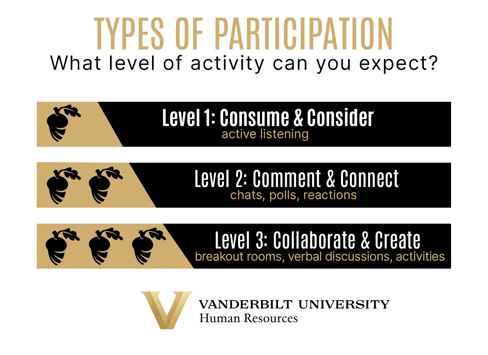 ELE participant levels